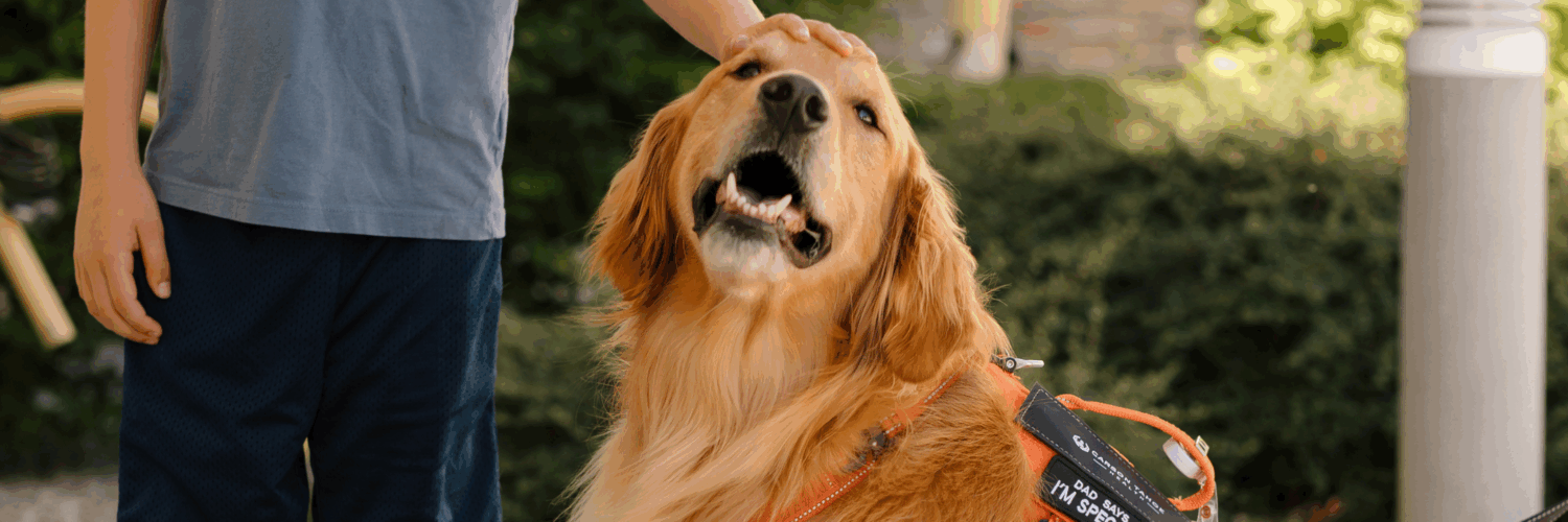A child gently pets a therapy dog wearing a service vest at Carson Tahoe Health